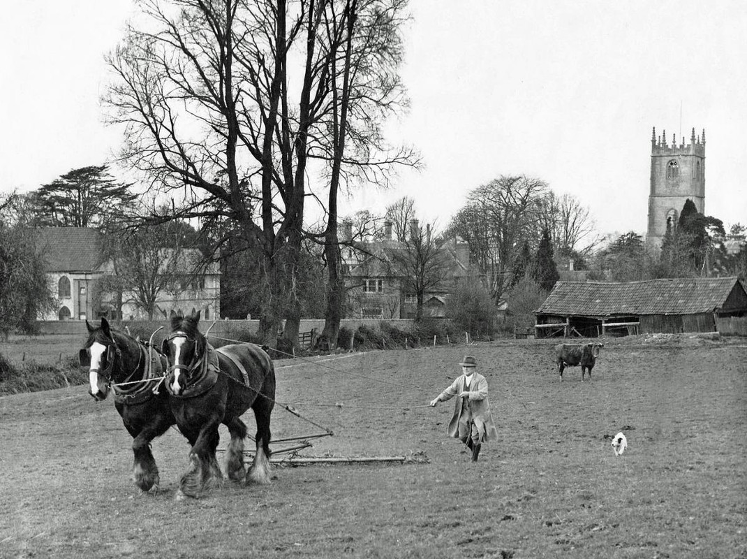 W. Pegler harrowing