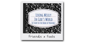 ...Friends + Fools 